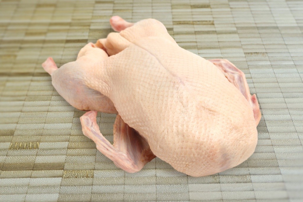 Goose