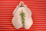 Whole Oven-Ready Bronze Turkey